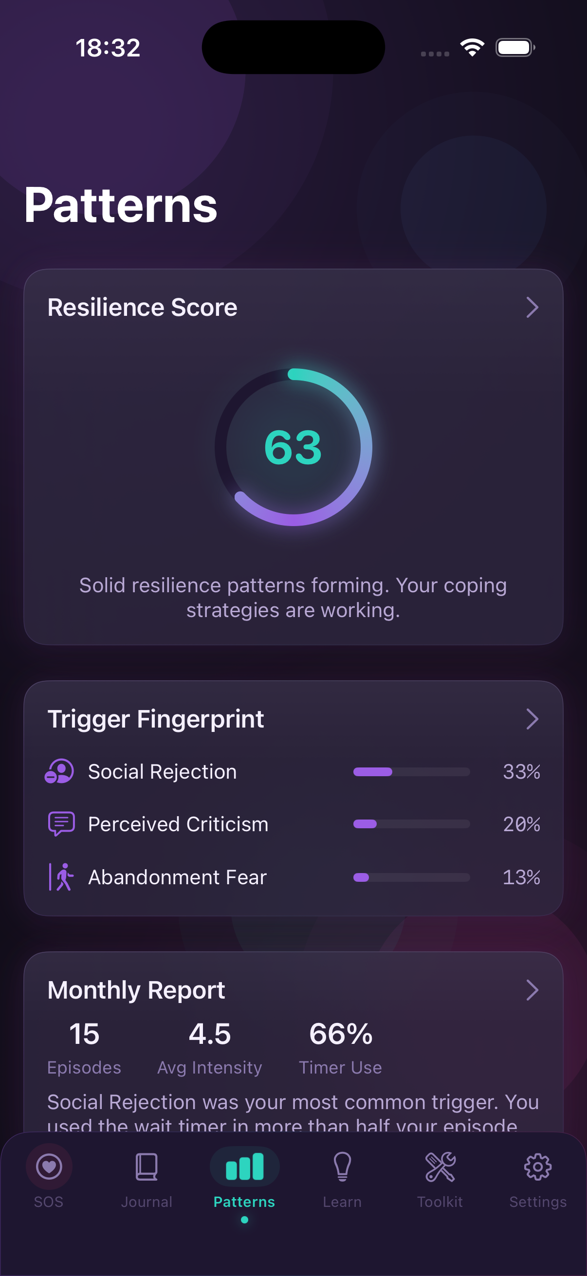 Patterns dashboard showing resilience score, trigger fingerprint, and monthly report